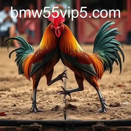 Exploring the Cultural and Modern Facets of Sabong Games